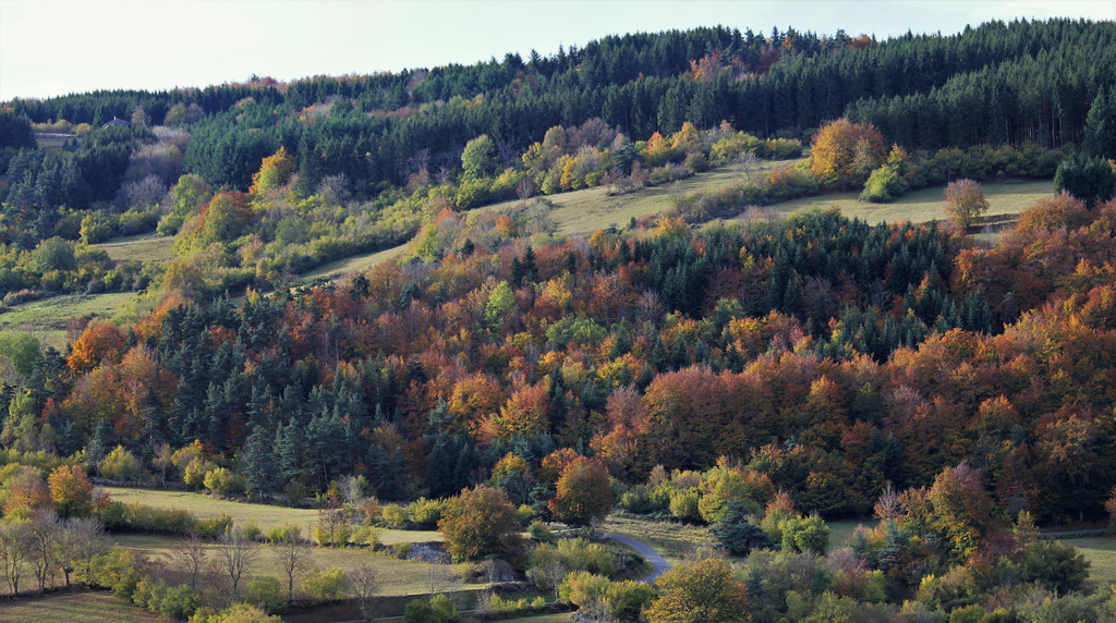 couleurs d'automne