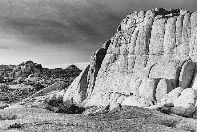 Joshua Tree National Park