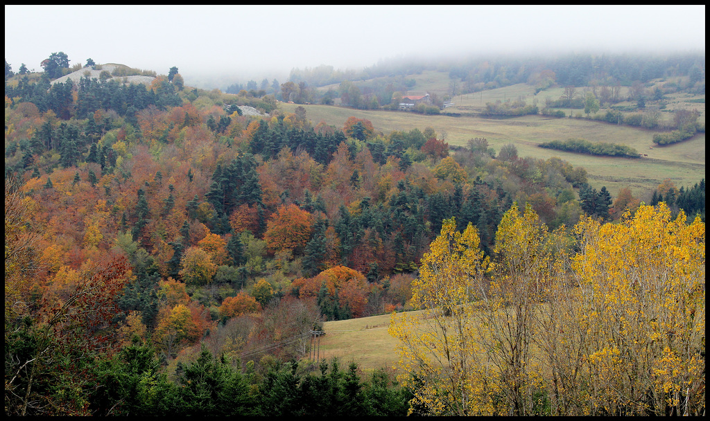 couleurs d'automne (2)