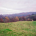 Kinver Edge (Scan from 1999)