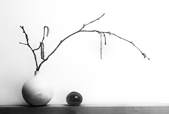 catkin b&w 2