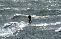 Activité La Turballe