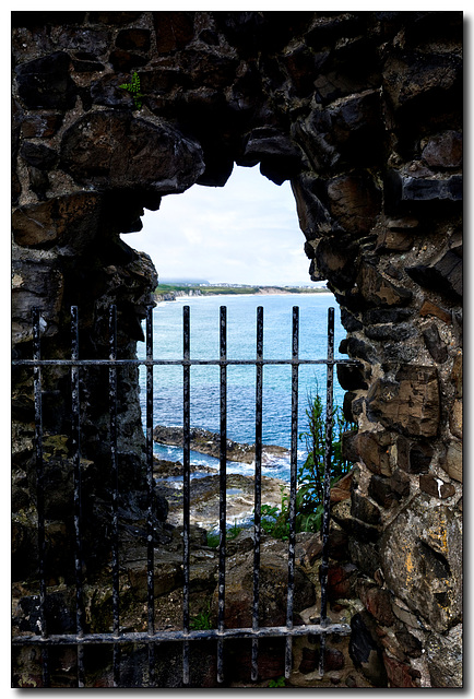 From Dunluce Castle