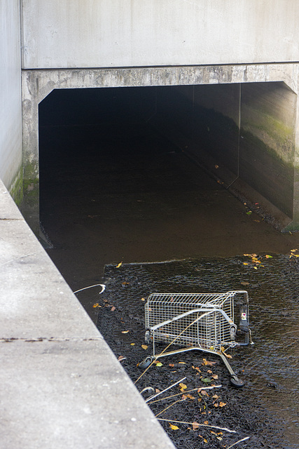 Supermarket Trolley in Denny's Dock