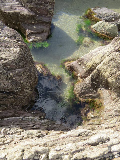 mothecombe beach, devon