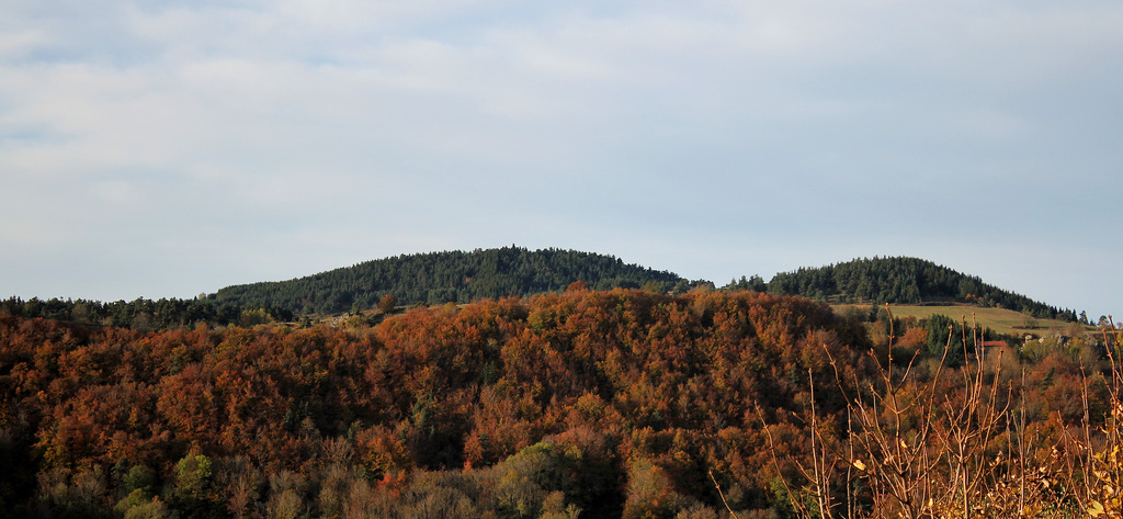 couleurs d'automne (3)