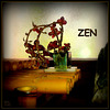 le retour..!, ZEN...禪 , the return..!, ZEN... 禪