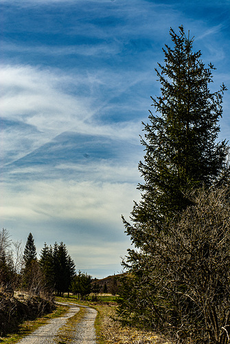 20240327_benneckenstein_wanderung (d200)
