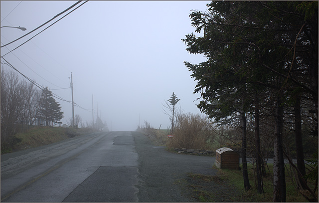 Dull day for Maybushes