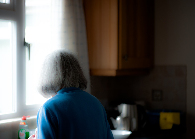 The Kitchen Window