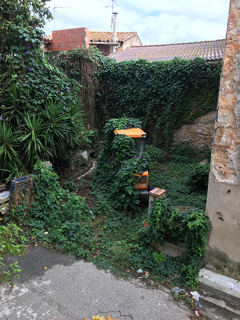 La nature reprend ses droits !