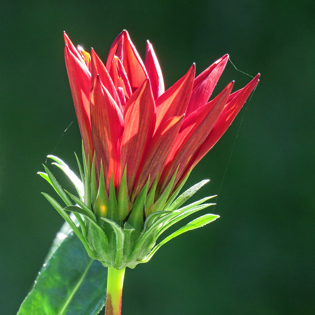 Colour at the farm