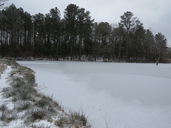 Ice on the pond