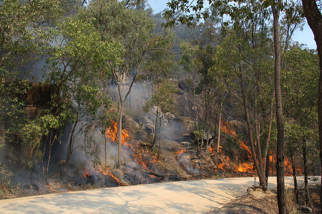 "Australia Burns"