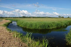 Les marais