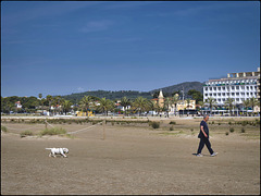 Une station balnéaire où même les chiens sont âgés