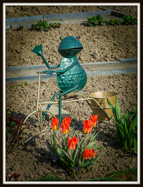 (108/365) Heute im Garten