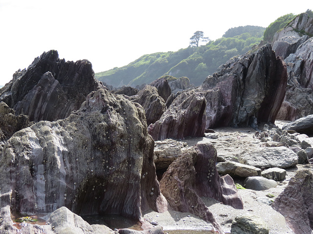 mothecombe beach, devon