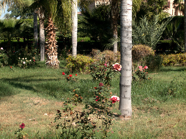 Marrakesch