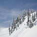 Snowshoeing to Artist's Point