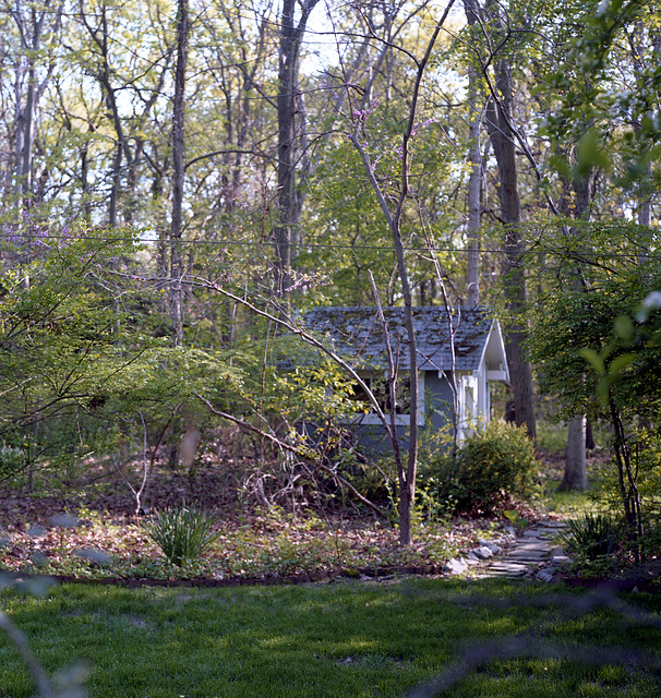 Playhouse in the spring