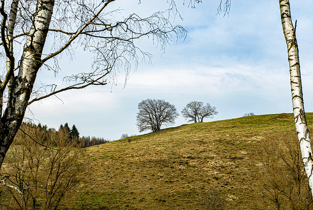 20240327_benneckenstein_wanderung (d200)