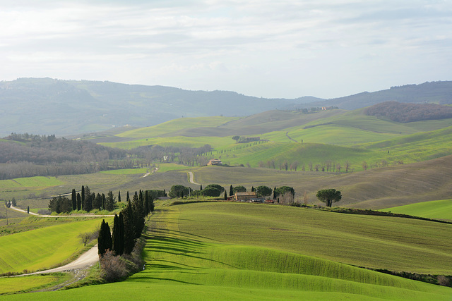 Italy, Rural Landscape of Toscana