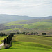 Italy, Rural Landscape of Toscana