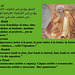 Ibn Rushdi Averroès AR EO FR EN RU pages