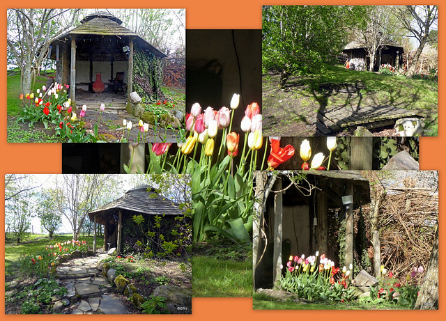 Springtime by the gazebo