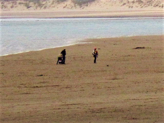 Just the odd person with their dog on Instow beach