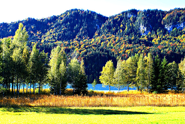 Autumn colours at Lake Weissensee. ©UdoSm
