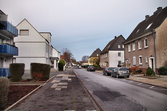 Wilhelminenstraße (Unna-Königsborn) / 26.11.2022