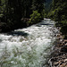 Yosemite Nat Park, Merced river L1020312