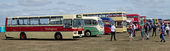 'BUSES Festival' at Sywell Aerodrome - 7 Aug 2022 (P1120963)