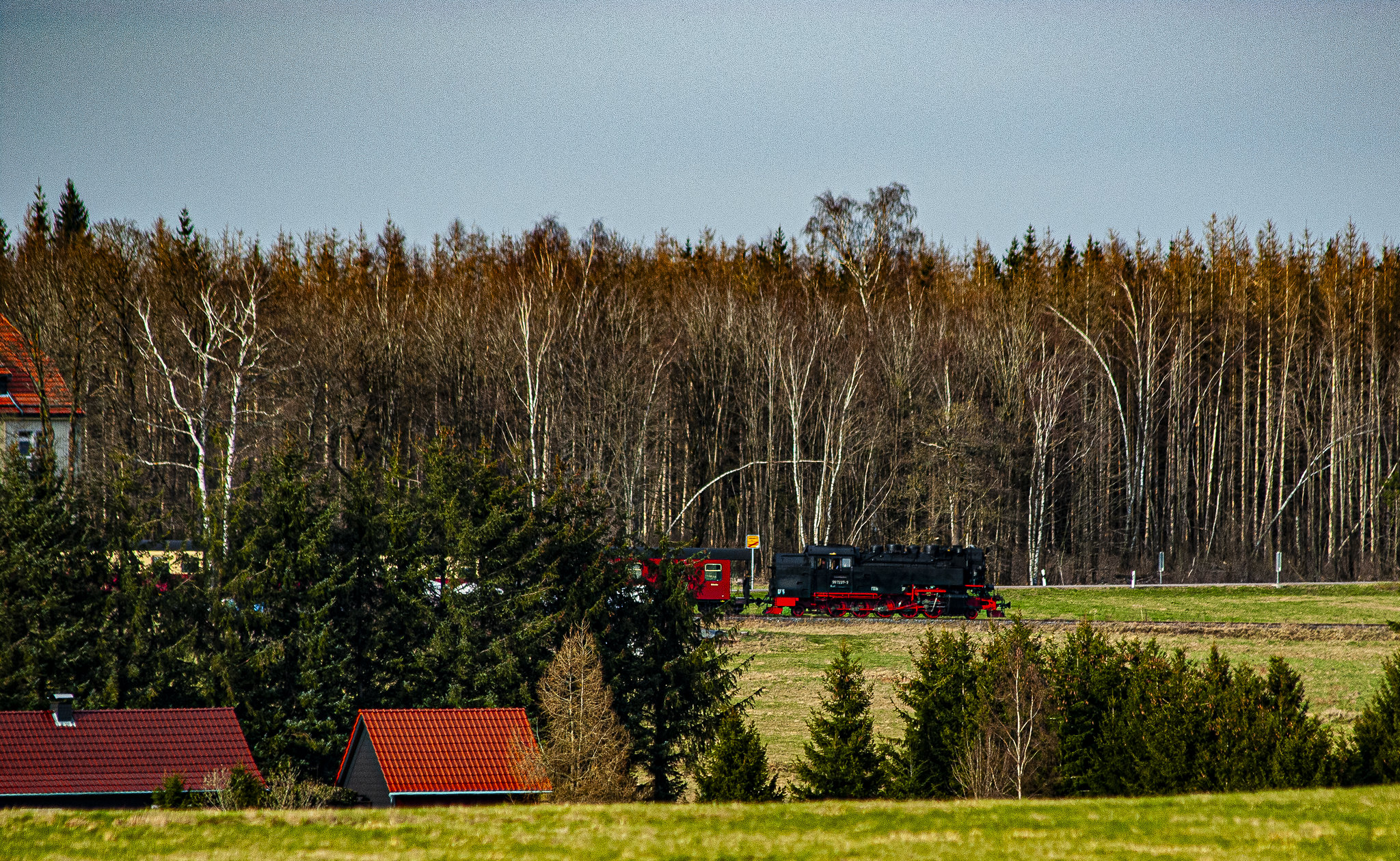 20240327_benneckenstein_wanderung (d200)