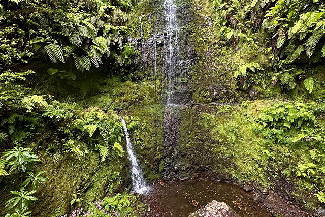 Madeira, Portugal HWW