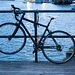 Bike on the pier