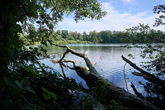 Ratinger Waldsee