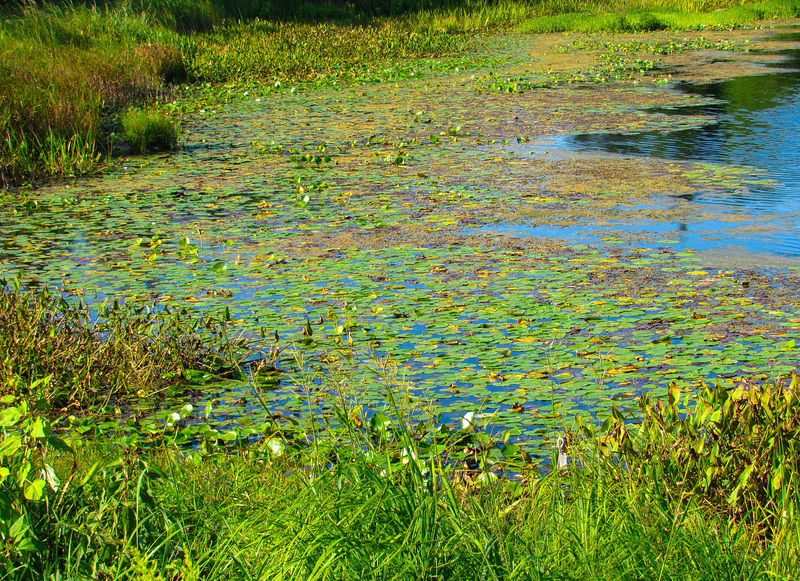 September Lake