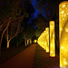 A la manière de l'odyssée lumineuse , au thabor de Rennes (35) , avec l'IA .