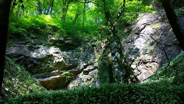 Castle Coch Quarry