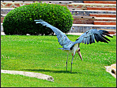 Biopark Valencia, 82