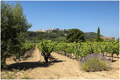 Bandol et Provence