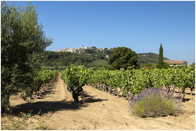 Bandol et Provence