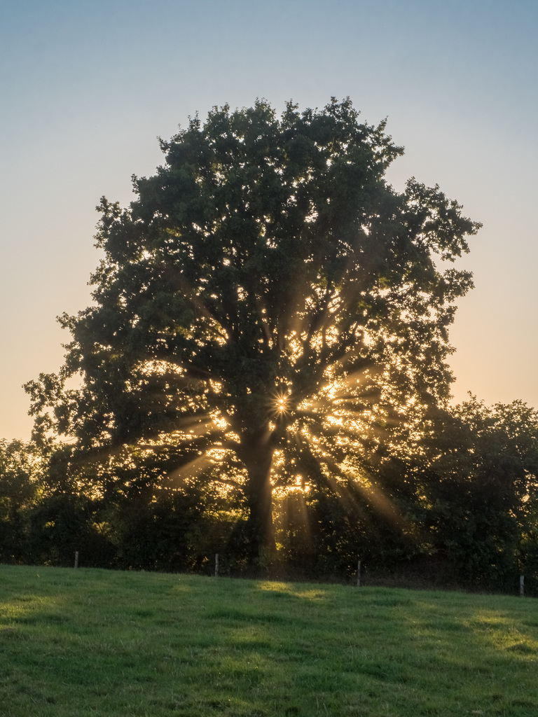 Gegenlicht am Abend