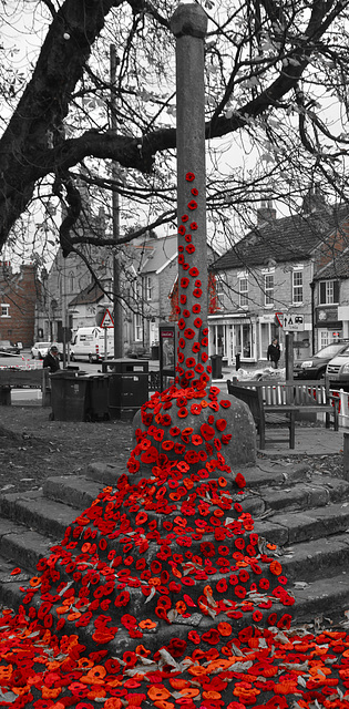 Poppies at Thornton-le-Dale