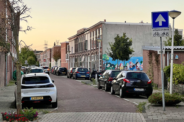 Waldeck Pyrmontstraat