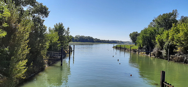 Rhein-Rhone-Kanal