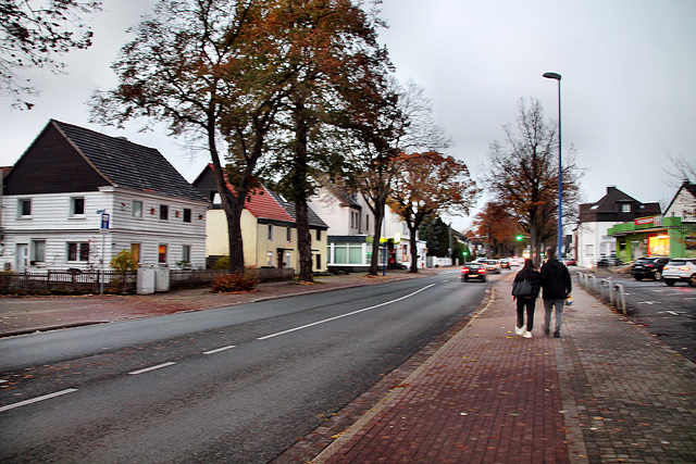 Kamener Straße (Unna-Königsborn) / 26.11.2022